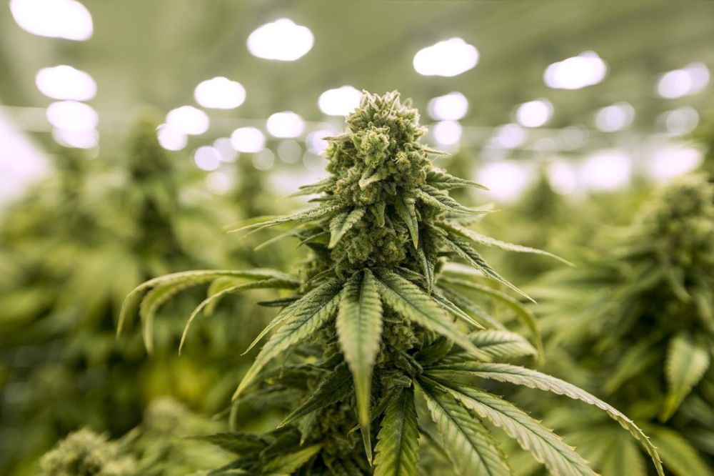 � �������� ��������� ����������� � ������� 30 ������� ���������