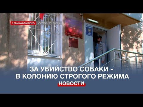 �� �������� ������ ������������ ���������� � ������� �������� ������