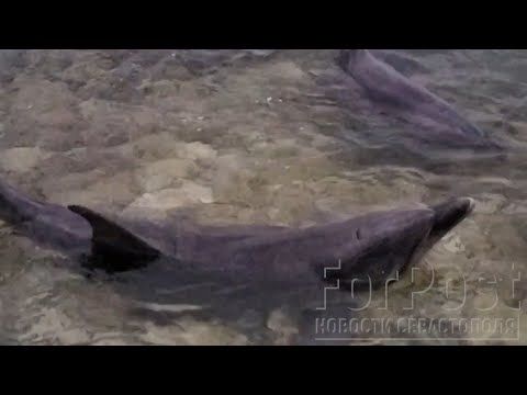 ���� ����������� � ����������� ��������� ������