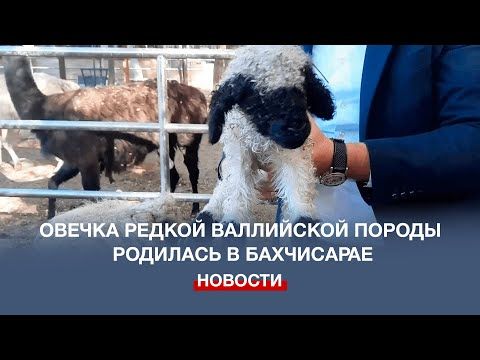 ������ ������ ���������� ������ ��������� �� ���� � �������������� ����� ��������