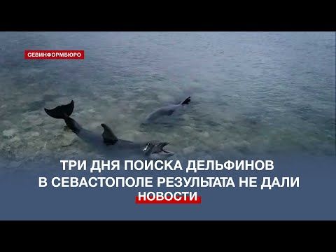 ��� ��� ������ ����������� ��������� � ����������� ���������� �� ����