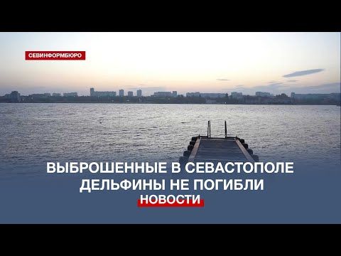 ������ �����������: ���������� ��������, ��� ����������� �������� �� �������