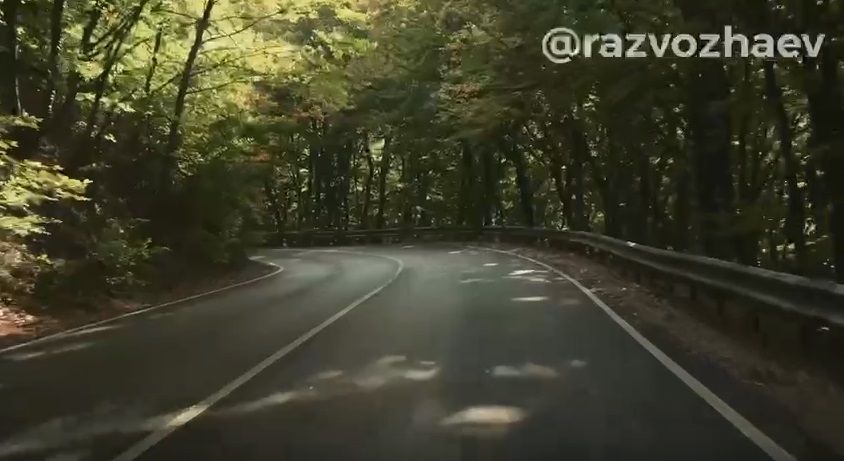 �� ��������������� ����� �������� �������� ��������