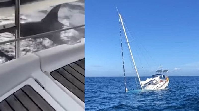 ���� ������� �������� �������� ���� ������ ��� �� ���