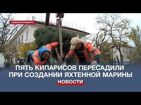 ��� �������� �������� ������ ���� ��������� ���������� � ���������� ������ ����������