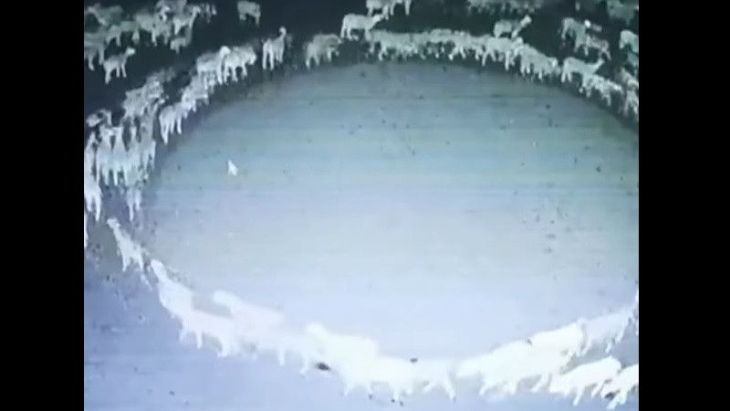 �������� ��������� ���� ��������� � ����� ������