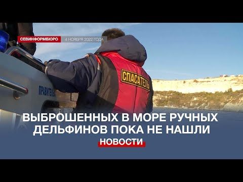 ����� ��������� � ���������� � ����������� ���������� � �������� ����������������� ������