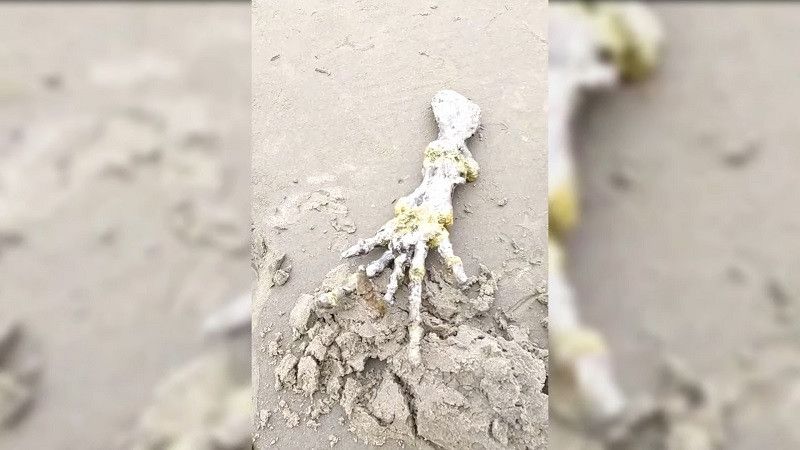�� ����� ����� �����, ������������ ����� ���������