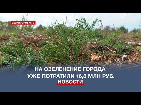 � ���� ���� �� ���������� ����������� ��� ��������� 16,8 ��� ������