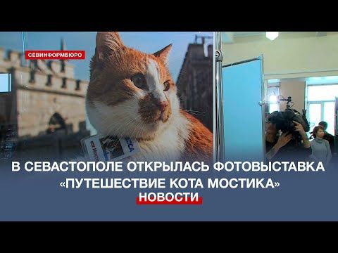 � ����������� ������� ������������ ������������ ���� �������