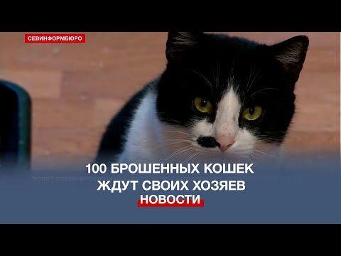 ����� ����� ��������� ����� ���� ����� ������ �� ���������� �����