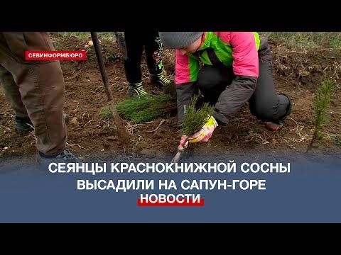 � ����������� �������� 900 ������� ������������� ����� ����������
