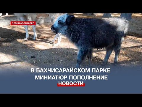 � ���������� �������� ������ ���������� ��� � ����������� ������