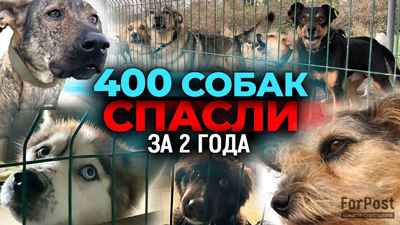 ������ 400 ��������: �������� ����������� ���������� � ���������� ������ � ��������