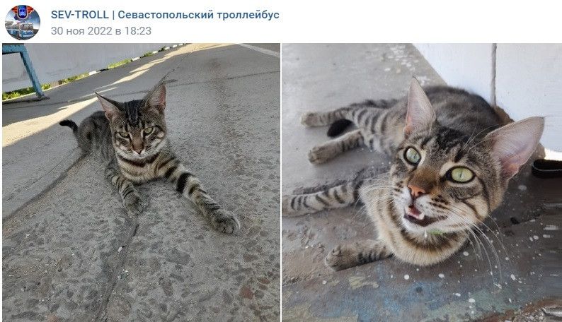 � ����������� �������� ������������� ���
