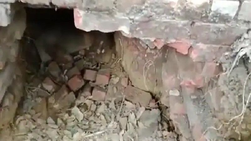 � ����� ����� ������ � �� ����������� ������