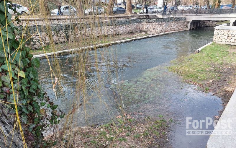 ������ � ������� ����� ����� ������� �� �������?