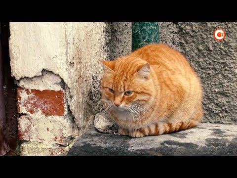 1 ����� � ����������� �������� ���� �����