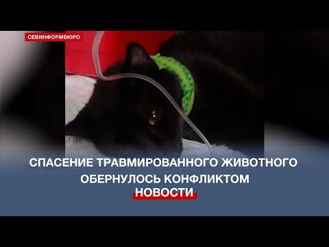 ���� ��� �� ���� ������? �������� ��������������� ��������� ���������� ����������