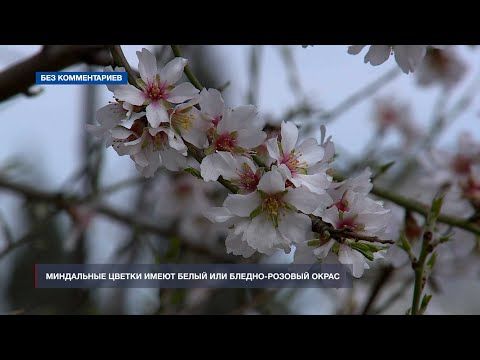 � ��������������� ������ � ������ ������ �������