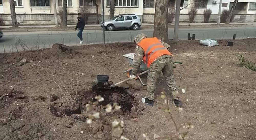 ������ ���������: � ����������� ������� ����� ���������������� ����������