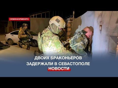 ����� �����������, ������� ������ � ���������, ��������� � �����������