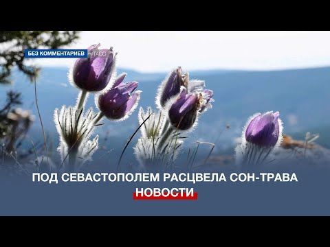 ��� ������������ �������� ���-�����