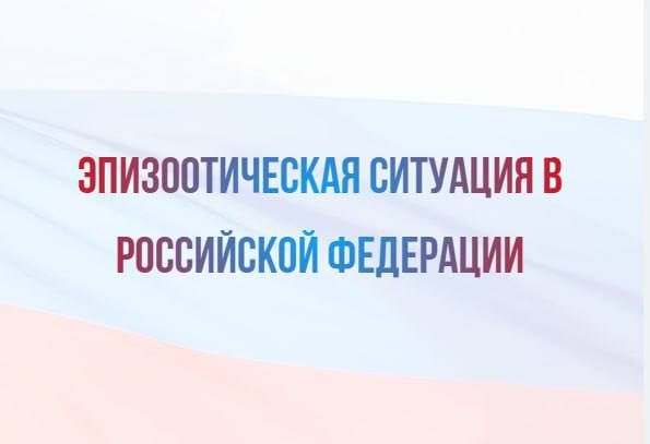 � ������ ������� ������ �� ���������� �� ��������: