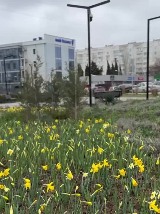 ������� ������: ����������� ����������)