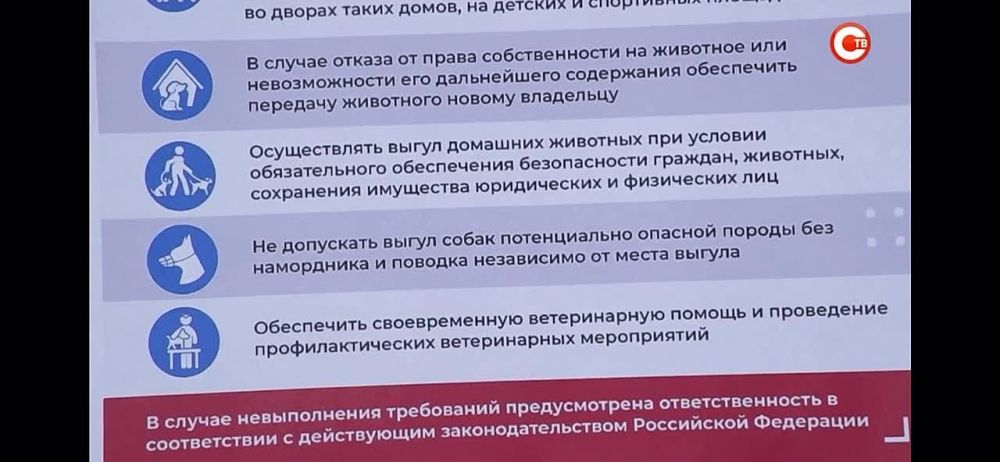 ������ ����������� ���, "����� �����������" � ���: ��� ��������������� ���������� ������������ ����������� �������� "����� �������"