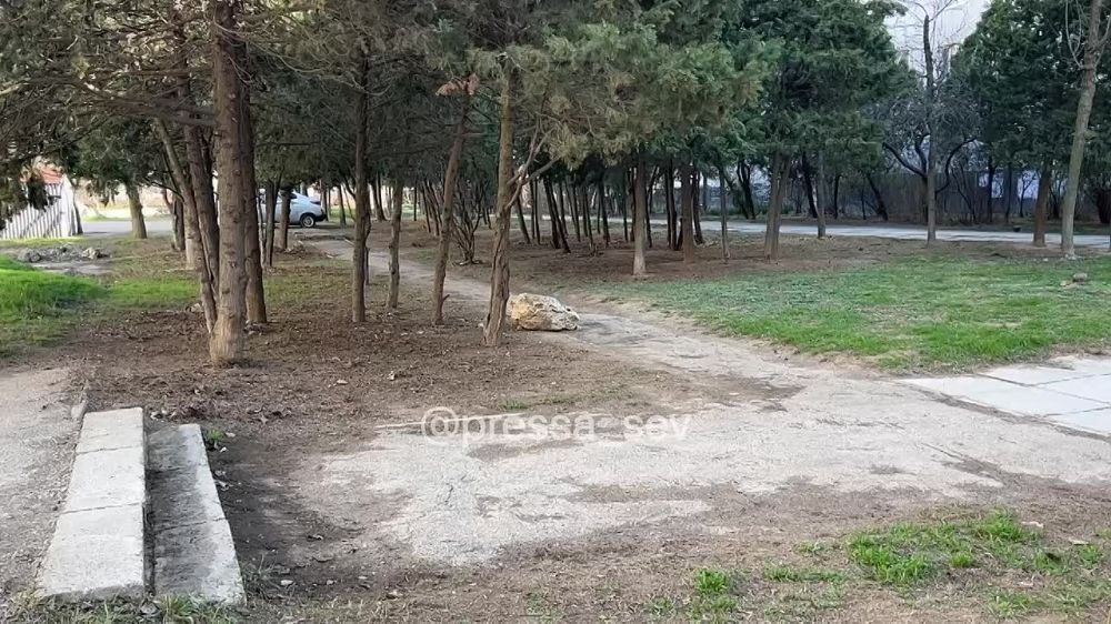 ��� � ��������� ������ �������� ������-����������� � ������ ������� ������������� ���������� ��������� ������, � ������� ����� ������� ������� ������ ������ ������ ������