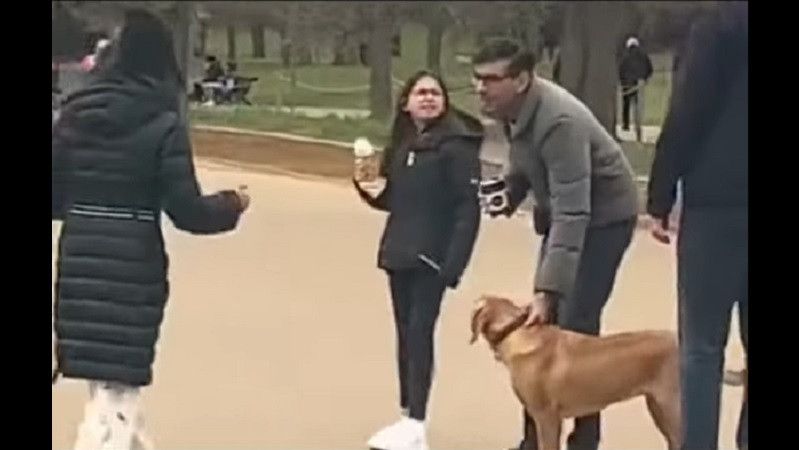 �������� �������� �������� ������� ������� �� �������� ������������