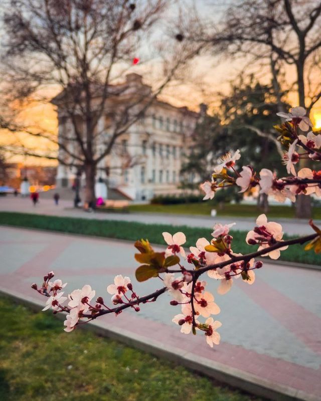 ���� �����!. ��������� ��� ������ ��������� ��������� ������. ����� 6-11�/� ����� ���� � ������ . ����������� ������� ����� 6-8�� �����, ���� 12-14�� �����