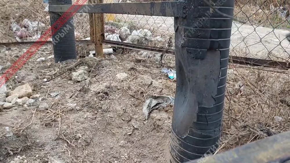 ��������� ����� ���� �������� � ������� ������� ����������� �� ������������