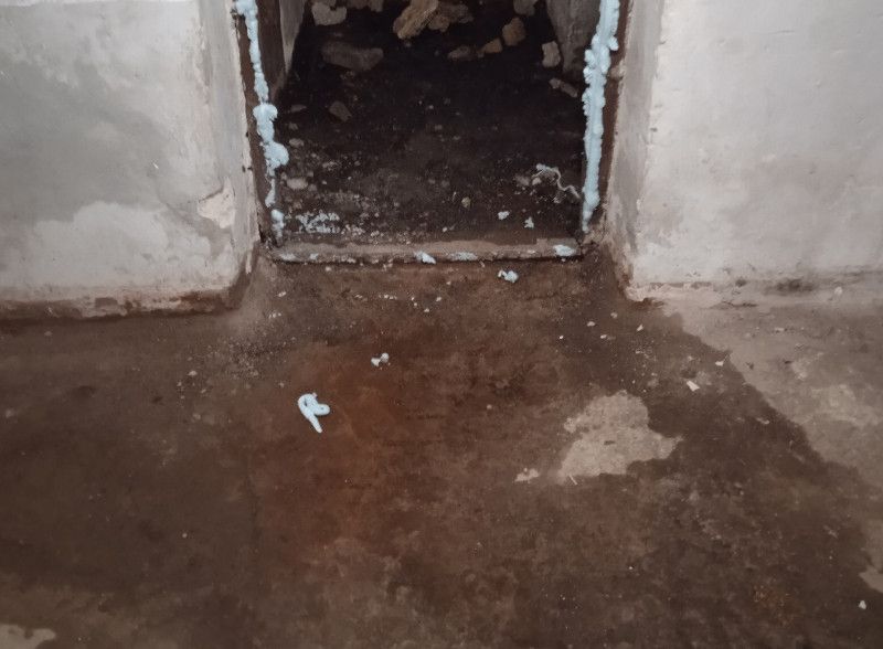 � ����������� ������������ � ������� ������ ���� �������� �����������