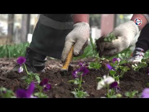 ������������ ������ ����������� �������� ���� ���������������� ��������
