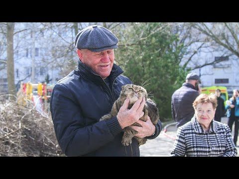 ����� � ����� ��������� ���������� ��� ������ ������� �������� � �������� �������� �� ������ � �����������: