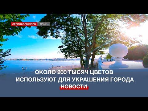����� 200 ����� ������ ���������� ��� ������������� ���������� �����������