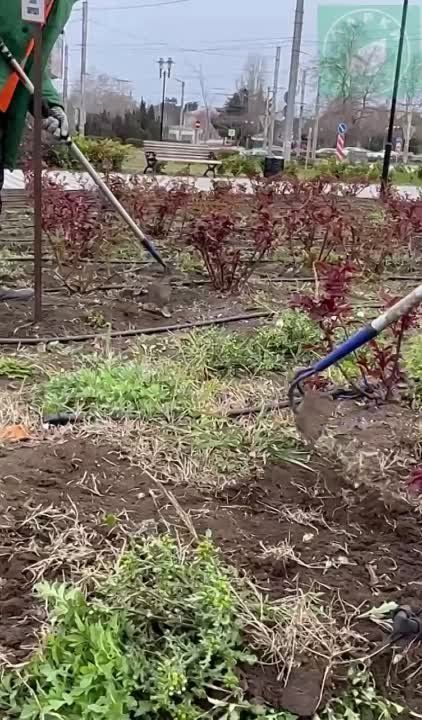 �������� ������ � ������ � ����������� �������������