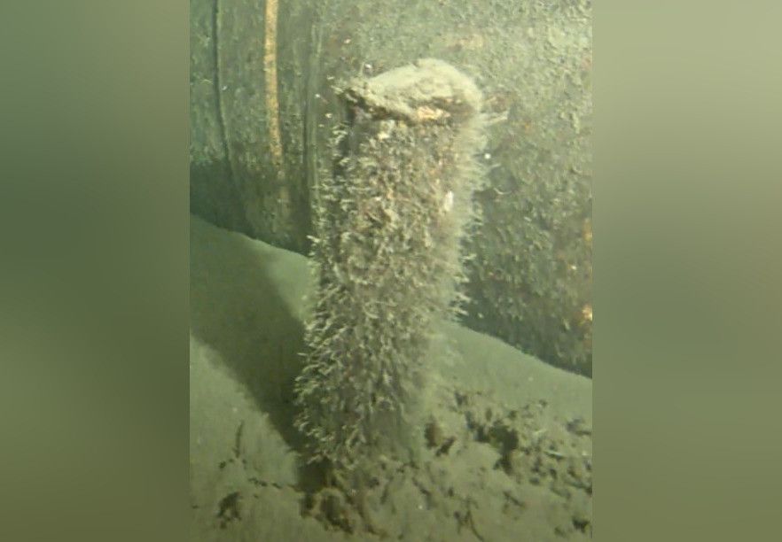 ����� �������� ����������� � ���������� �������, ��������� �� ��������� ������