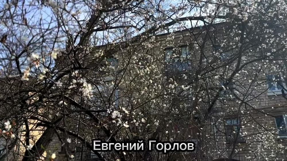������� ������: ������� ���� �� ����� ������, � ������ ���� �24