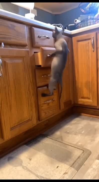 �� �������, ��� ��� �� ����� ���� - ������ ��� ��������? ���, ��� ��� � �������� �� ����!