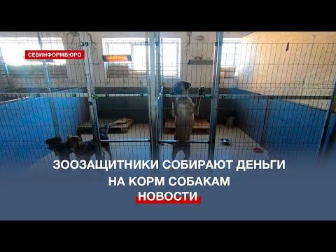 ����� �� ���� ���: ��������������� ������������ ������ � ������� ������