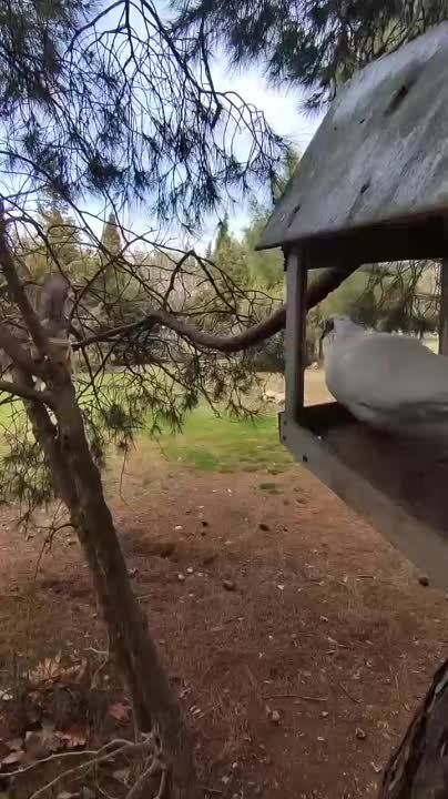 �� �� ��, ����� �������:)