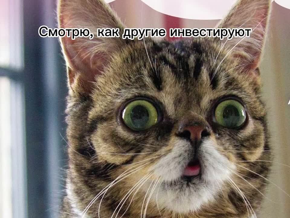 ��� ��� ������� ������ ��� ��������?