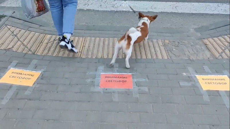 �������� �������� ��������� � ������ ��������� � ������� �� ��������� ����� ������� ����������� ���������� ������ ���������� �� �������� � �������� ���������. ��������