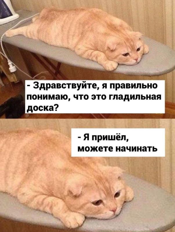 ������� ��� ���� ����� �����..