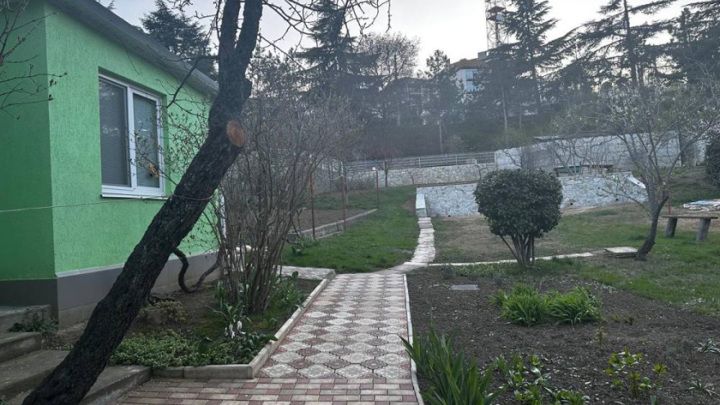 ��������� ������� ����������� � ����� � ��������