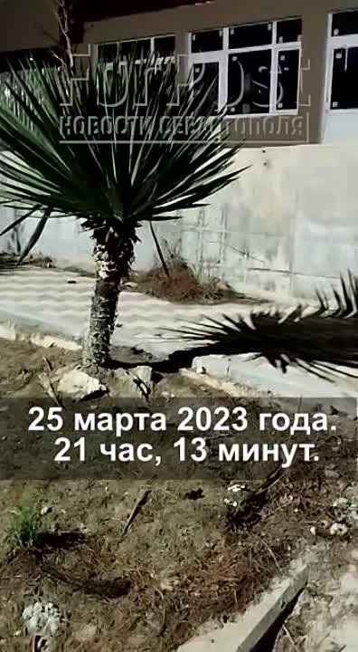 ���������� ���� � ������ �����, ������������ ������� � ��� ��������� ��������� � ������� � ���� ����� ��������� ������� - � ����� "�������" ����������� ������� ��� ��������