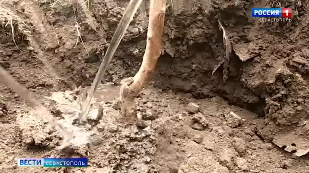 � ����������� �� ���������� ����������� �������� �������� ��� ������